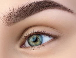 Powder Brows